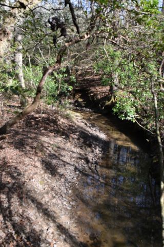 305 Timberwood Trace, Monteagle, TN 37356