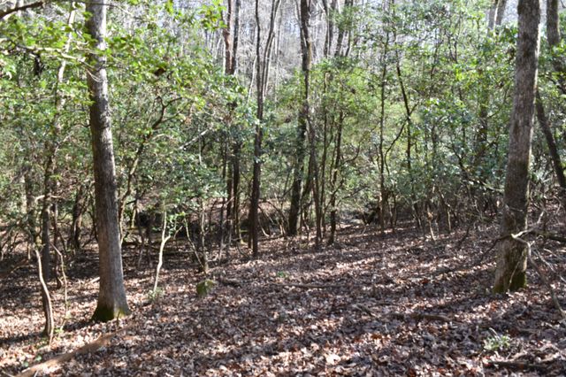 305 Timberwood Trace, Monteagle, TN 37356