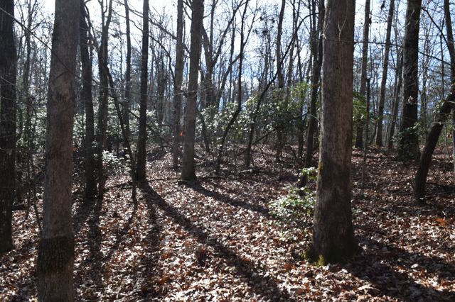 305 Timberwood Trace, Monteagle, TN 37356