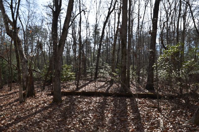 305 Timberwood Trace, Monteagle, TN 37356