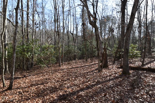 305 Timberwood Trace, Monteagle, TN 37356