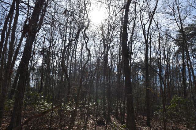 305 Timberwood Trace, Monteagle, TN 37356