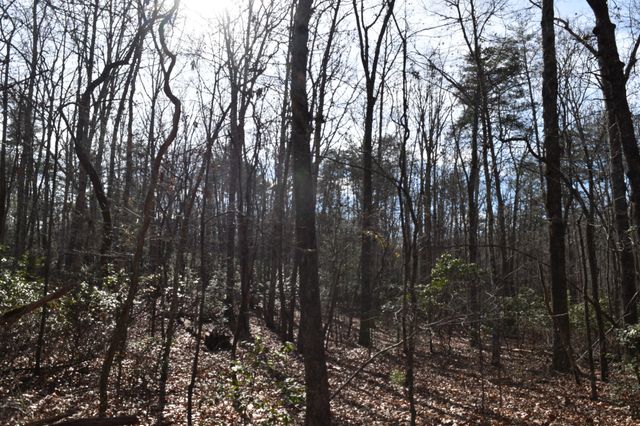 305 Timberwood Trace, Monteagle, TN 37356