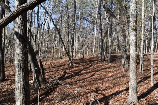 305 Timberwood Trace, Monteagle, TN 37356