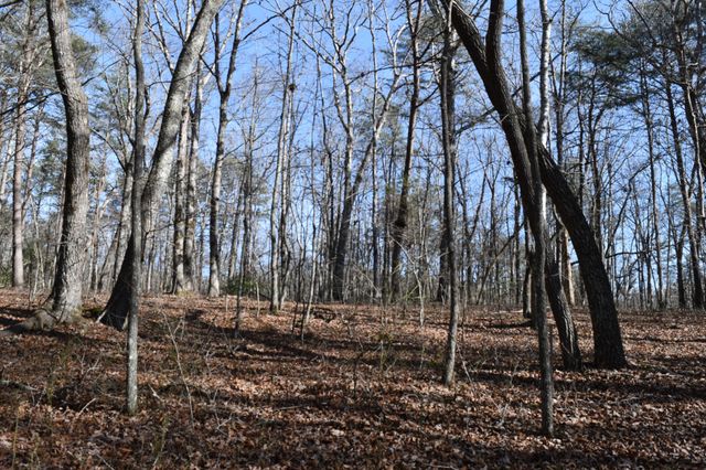 305 Timberwood Trace, Monteagle, TN 37356