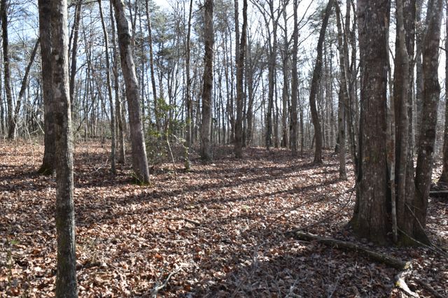 305 Timberwood Trace, Monteagle, TN 37356