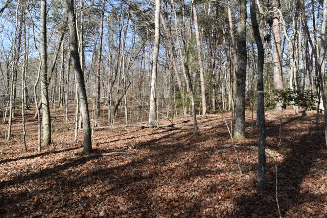 305 Timberwood Trace, Monteagle, TN 37356