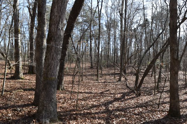 305 Timberwood Trace, Monteagle, TN 37356