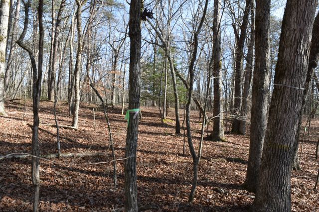 305 Timberwood Trace, Monteagle, TN 37356