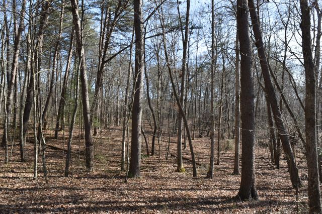 305 Timberwood Trace, Monteagle, TN 37356