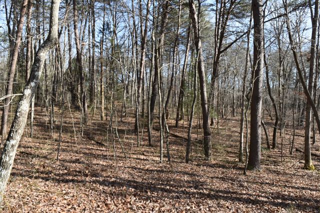 305 Timberwood Trace, Monteagle, TN 37356