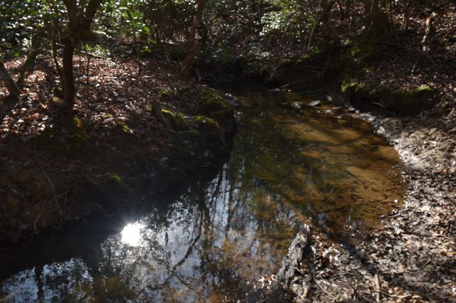 305 Timberwood Trace, Monteagle, TN 37356