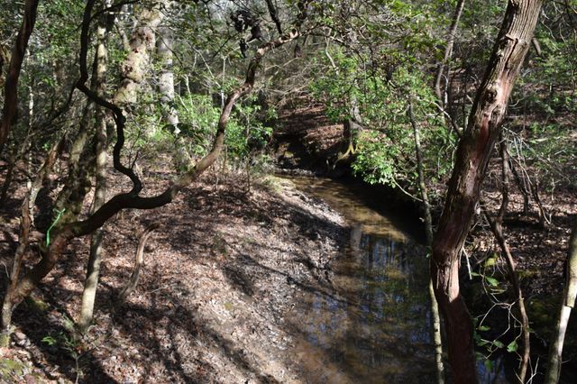 305 Timberwood Trace, Monteagle, TN 37356