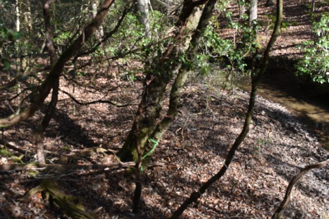 305 Timberwood Trace, Monteagle, TN 37356