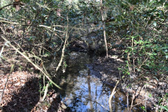 305 Timberwood Trace, Monteagle, TN 37356