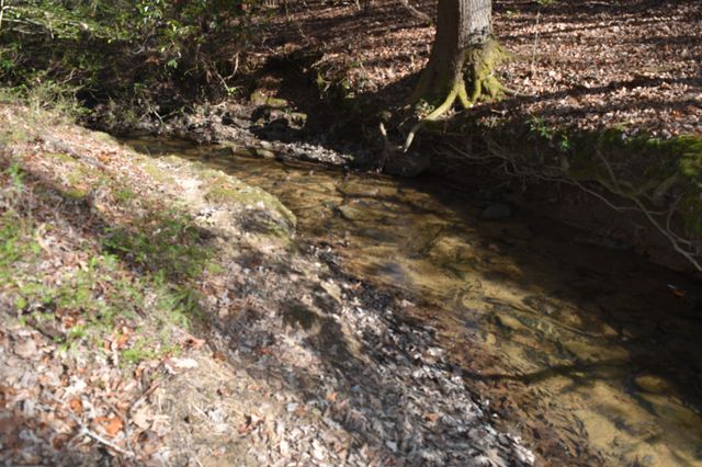 305 Timberwood Trace, Monteagle, TN 37356