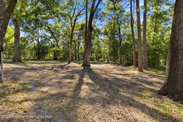 315 Garfield Avenue, Brooksville, FL 34604