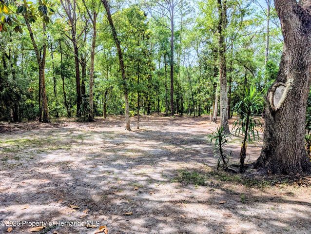 315 Garfield Avenue, Brooksville, FL 34604