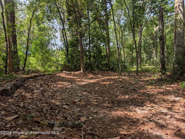 315 Garfield Avenue, Brooksville, FL 34604