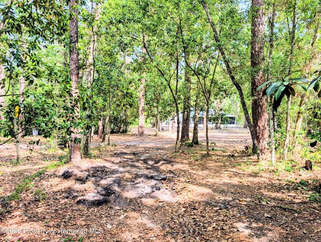 315 Garfield Avenue, Brooksville, FL 34604