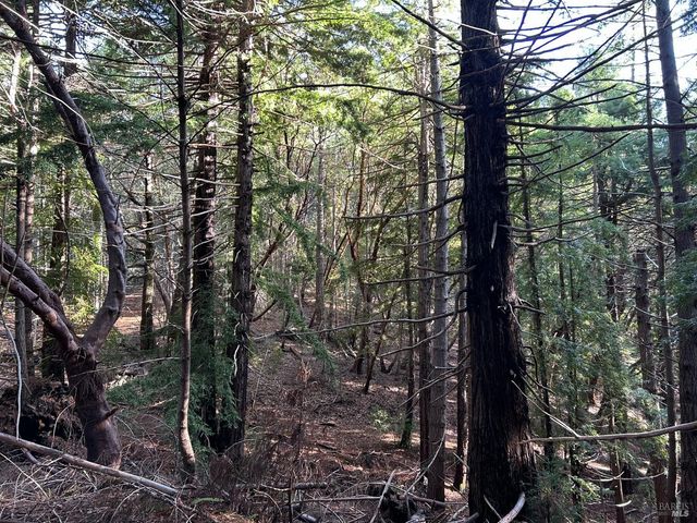 34620 Eureka Hill Rd, Point Arena, CA 95468