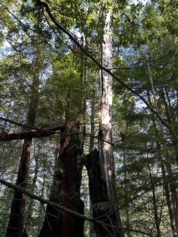 34620 Eureka Hill Rd, Point Arena, CA 95468