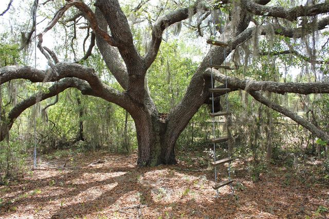 8225 WAKEFORD ROAD, Lake Wales, FL 33898