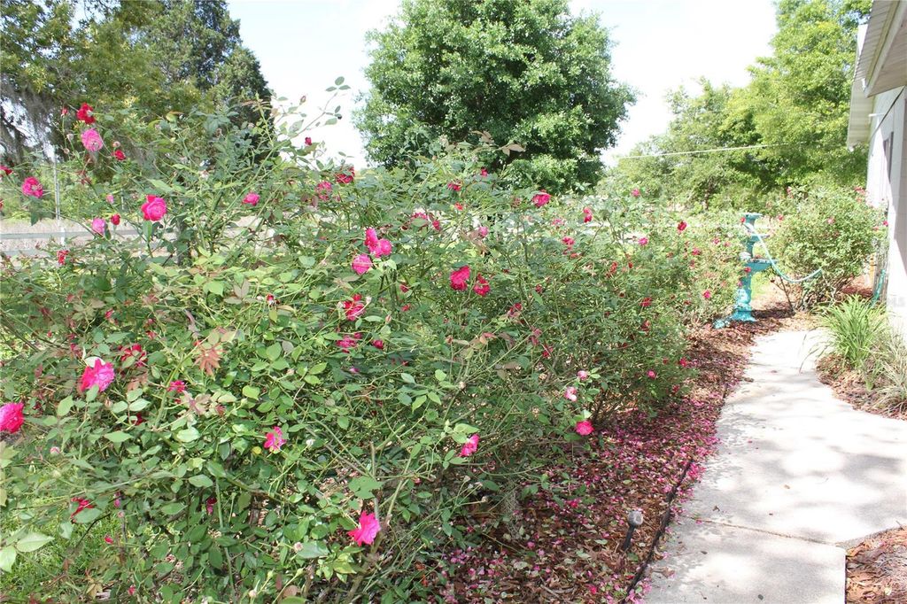 Image 19 of property listing at 8225 WAKEFORD ROAD, Lake Wales, FL 33898