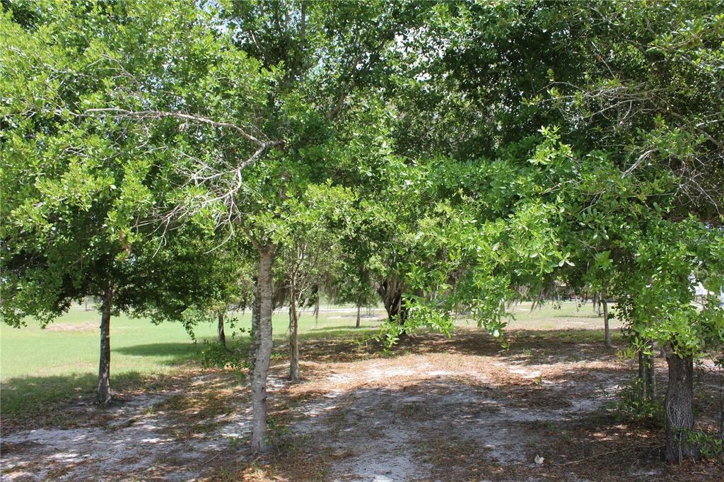 Image 88 of property listing at 8225 WAKEFORD ROAD, Lake Wales, FL 33898