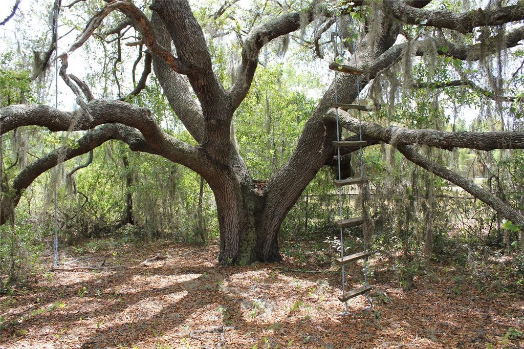 Image 95 of property listing at 8225 WAKEFORD ROAD, Lake Wales, FL 33898