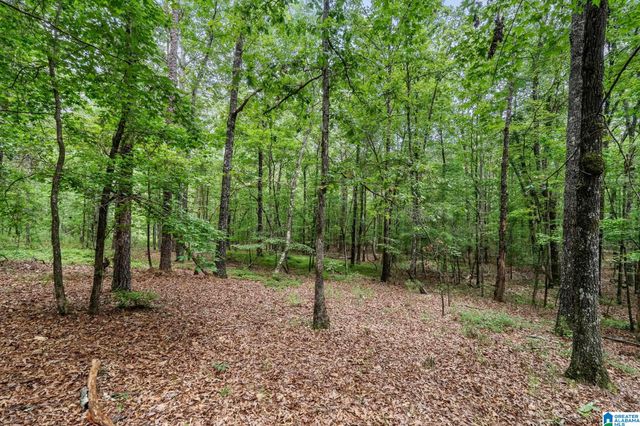 3421 HIGHWAY 109, Chelsea, AL 35051
