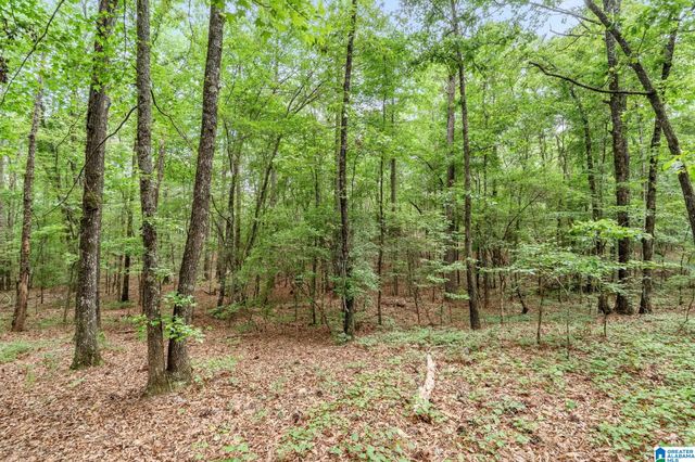 3421 HIGHWAY 109, Chelsea, AL 35051