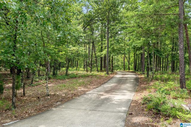 3421 HIGHWAY 109, Chelsea, AL 35051