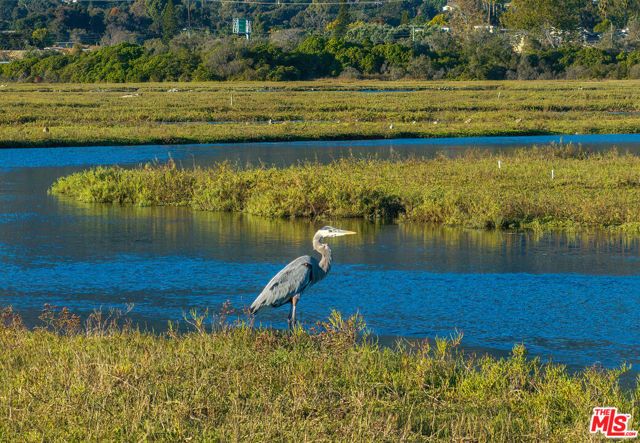 571 Sand Point Road, Carpinteria, CA 93013