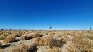 Vicinity Ave L2 & 77th St East, Palmdale, CA 93590