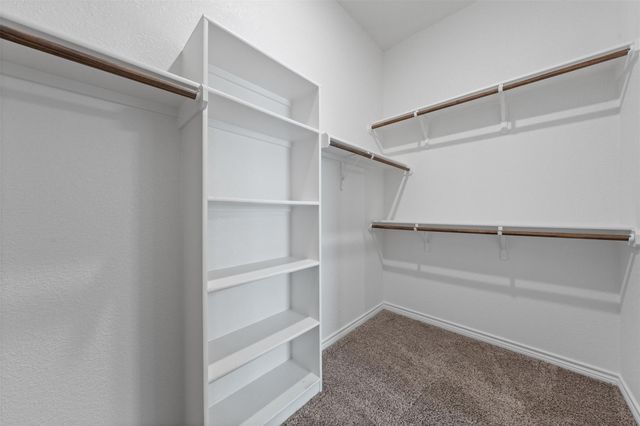 2636 Cedar Glen DR, Belton, TX 76513