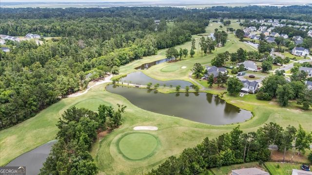 243 Wedge Circle, Richmond Hill, GA 31324