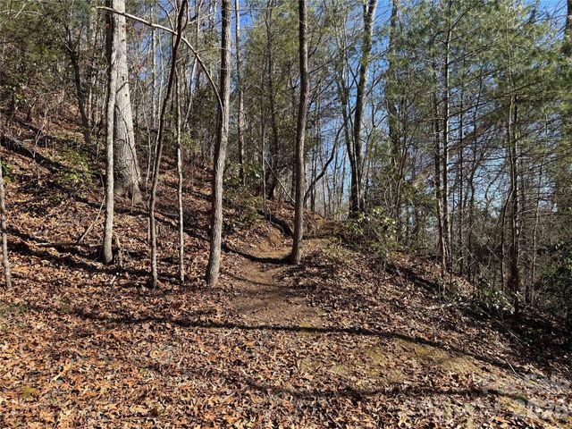33 High Point Trail, Brevard, NC 28712