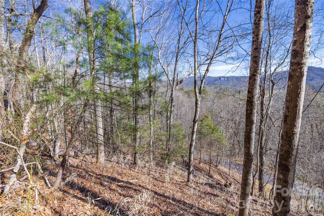 33 High Point Trail, Brevard, NC 28712
