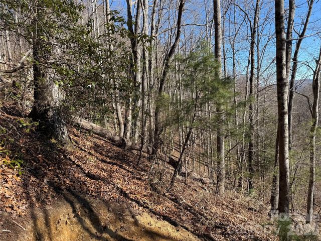 33 High Point Trail, Brevard, NC 28712