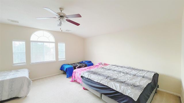 21338 Bella Mountain Drive, Spring, TX 77379