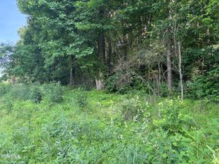 Tbd Reedy Creek Rd, Abingdon, VA 24210