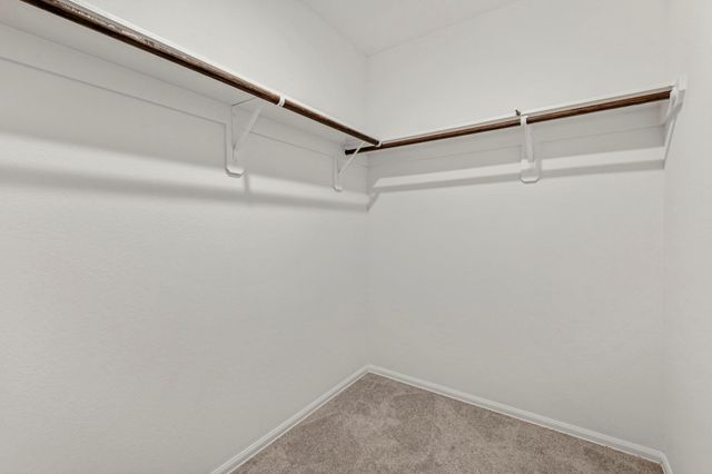 17194 Quaking Aspen Lane, New Caney, TX 77357