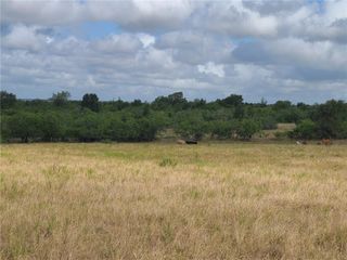 TBD 89 Acres County Rd 446, Waelder, TX 78959