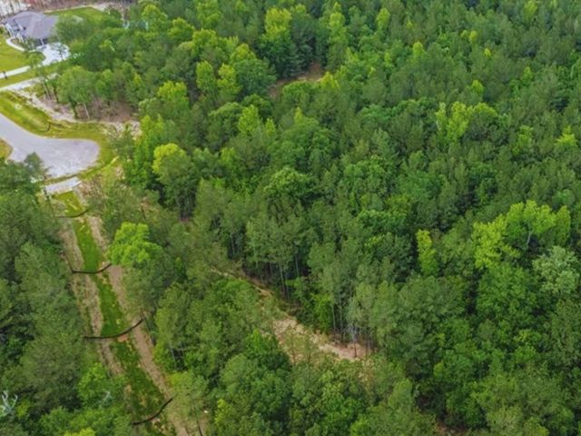 7500 Lonesome Ridge, Montgomery, TX 77316