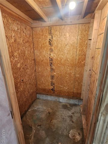 709 & 713 Janey Drive, Farmington, MO 63640