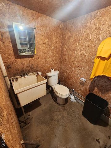 709 & 713 Janey Drive, Farmington, MO 63640