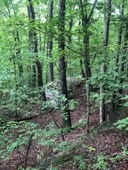 0 Anderson Pike, Signal Mountain, TN 37377