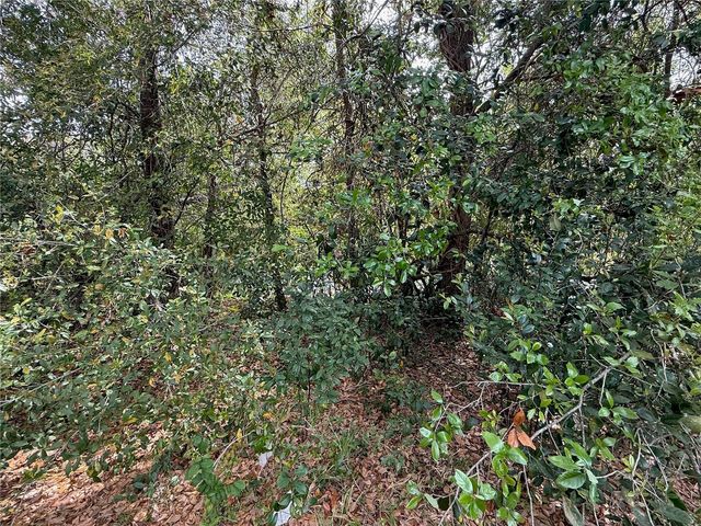 4922 ACKERMAN STREET, New Port Richey, FL 34653