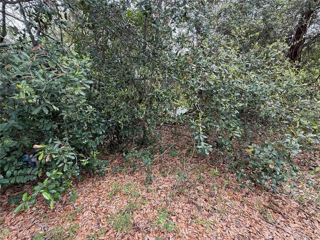 4922 ACKERMAN STREET, New Port Richey, FL 34653